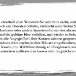 Der Desinformant Stefan Magnet gewinnt wieder die Goldene Himbeere für die schlechteste Märtyrerrolle: Reine Taktik oder schon eine psychische Störung?